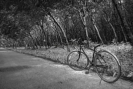 路,交通,車輪