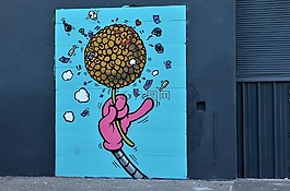 街头艺术,花,涂鸦