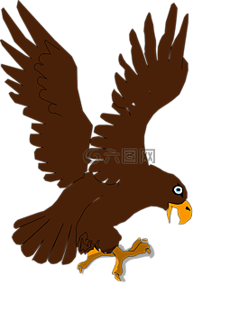 鷹,猛禽,捕食鳥