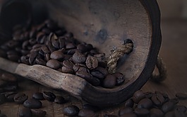咖啡,咖啡豆,烤