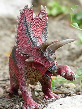 pentaceratops,恐龍,史前史