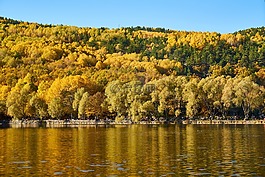秋,季節(jié),景觀