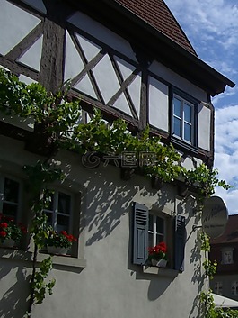 桁架,fachwerkhaus,花卉