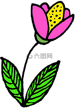 图,花,铭文