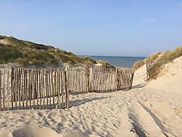 海灘,籬笆,查看