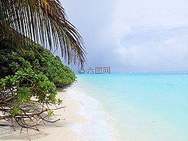 海洋,海,海灘