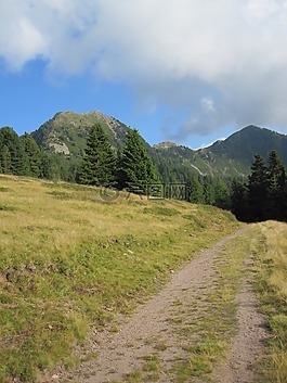 景觀,夏季,山