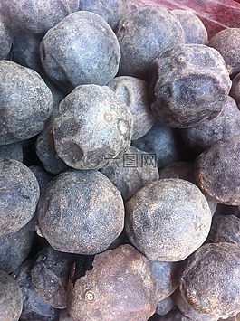 桂冠,伊斯坦布爾,香料