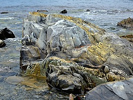性質(zhì),海,石頭