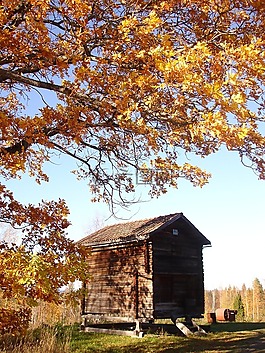 härberge,库,贝里