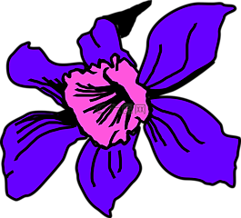 花瓣,盛開(kāi),花