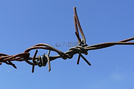 帶刺鐵絲網(wǎng),結(jié),鋒利