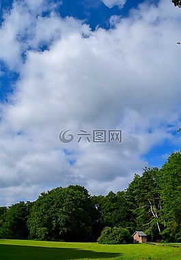 原野,天空,陽光