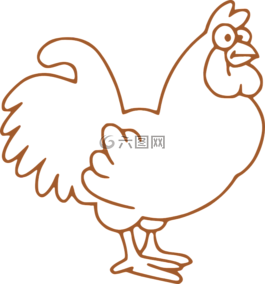 公雞,母雞,鳥