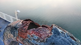 船舶,不銹鋼,海