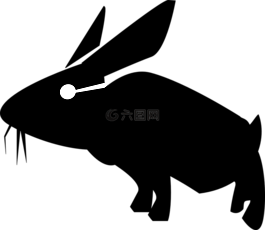 兔,野兔,兔子