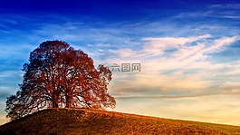 景觀,性質(zhì),天空