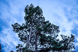 天空,abendstimmung,沉默