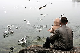 孩子的父親,愛情,湖
