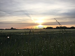 自然,太陽,陽光