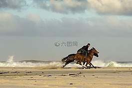 馬匹,海灘,賽車