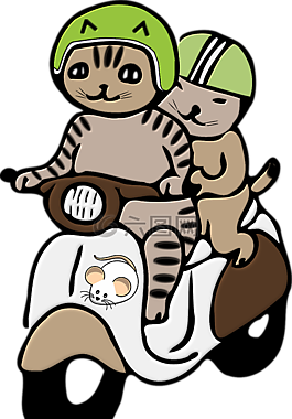 貓,頭盔,png