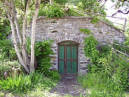 凱勒,老,綠色