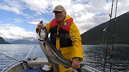 魚,挪威峽灣,北