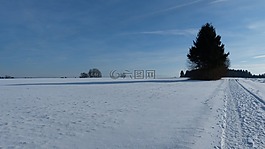 阿爾高,冬天,雪