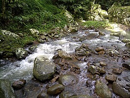 溪,河,流動(dòng)