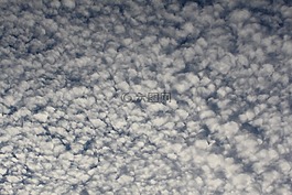 云,天空,云層