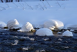 森林,河,冬季
