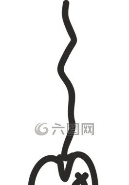 鱼,野兽,宠物