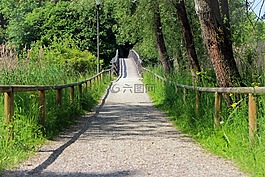 步行,離,橋