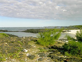 海,巖,海灘
