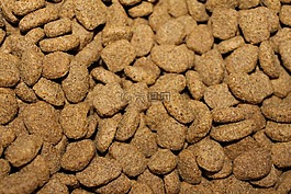猫粮,狗食,宠物