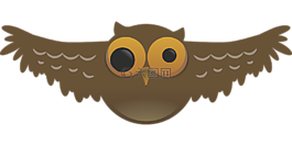貓頭鷹,很奇怪,鳥