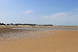海灘,海,砂