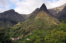 馬德拉,火山,綠色