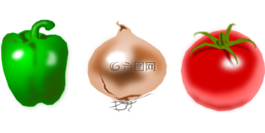 蔬菜,番茄,洋蔥