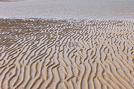 砂,海,海灘