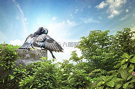 愛,美術,性感