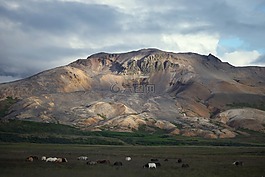 山,字段,馬