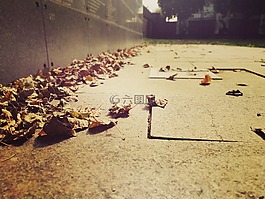 秋,葉子,過去