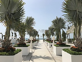 burj al 阿拉伯,池,海灘