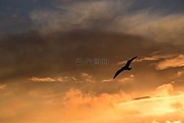 背景,天空,云