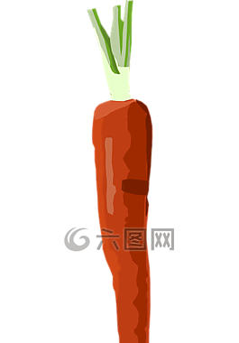 胡蘿卜,蔬菜,食品