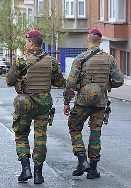 軍事,巡邏,統一