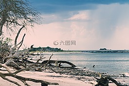 海滩,漂流木,暴风雨的乌云