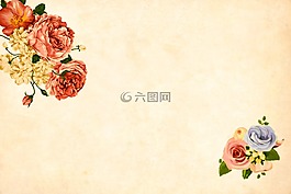 花,背景,釀酒